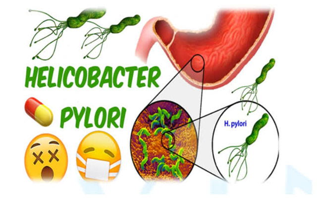 helicobacter-pylori-16335717279441556868266
