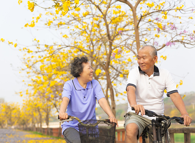 happy asian senior couple ride on bicycle  in the park