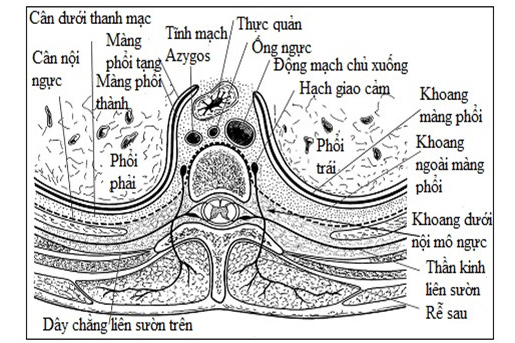 Bệnh viện Quân y 103: Gây tê cạnh sống