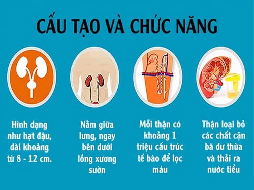 Dấu hiệu cảnh báo chức năng thận suy giảm